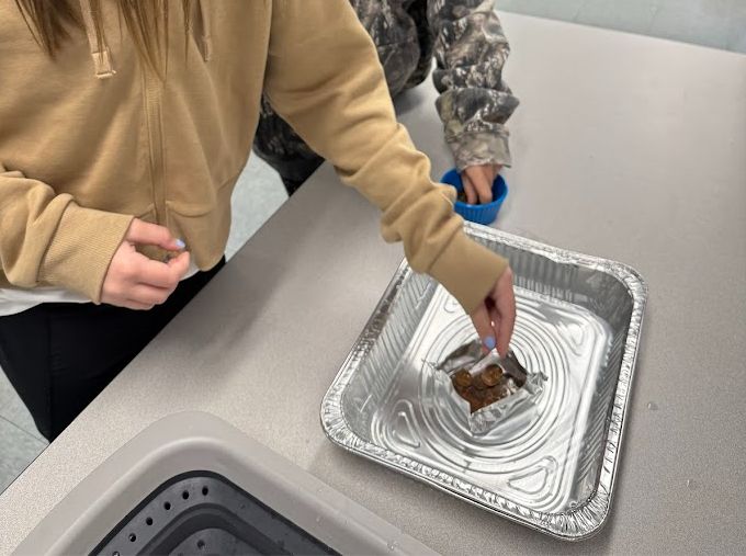 Students adding pennies to their aluminum boat floating in a tray of water.