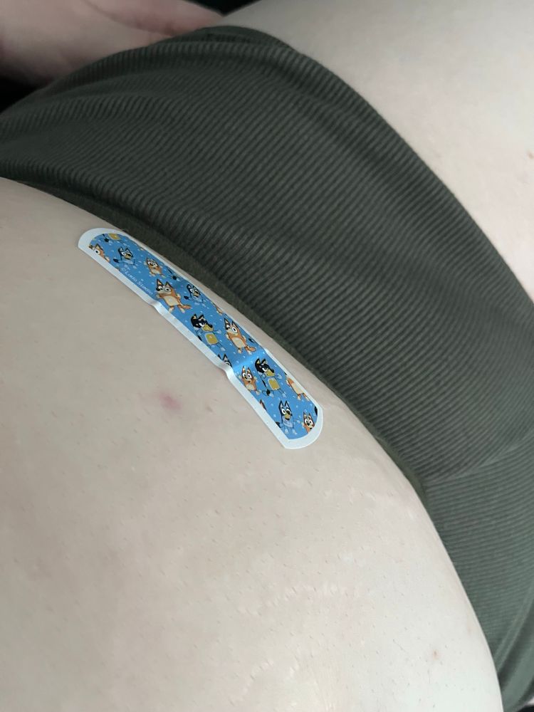 A photo of foxy’s stomach with a bluey bandaid covering her injection sight 