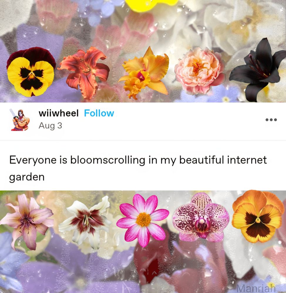A tumblr post by wiiwheel says "everyone is bloom scrolling in my beautiful Internet garden" surrounded by flowers 