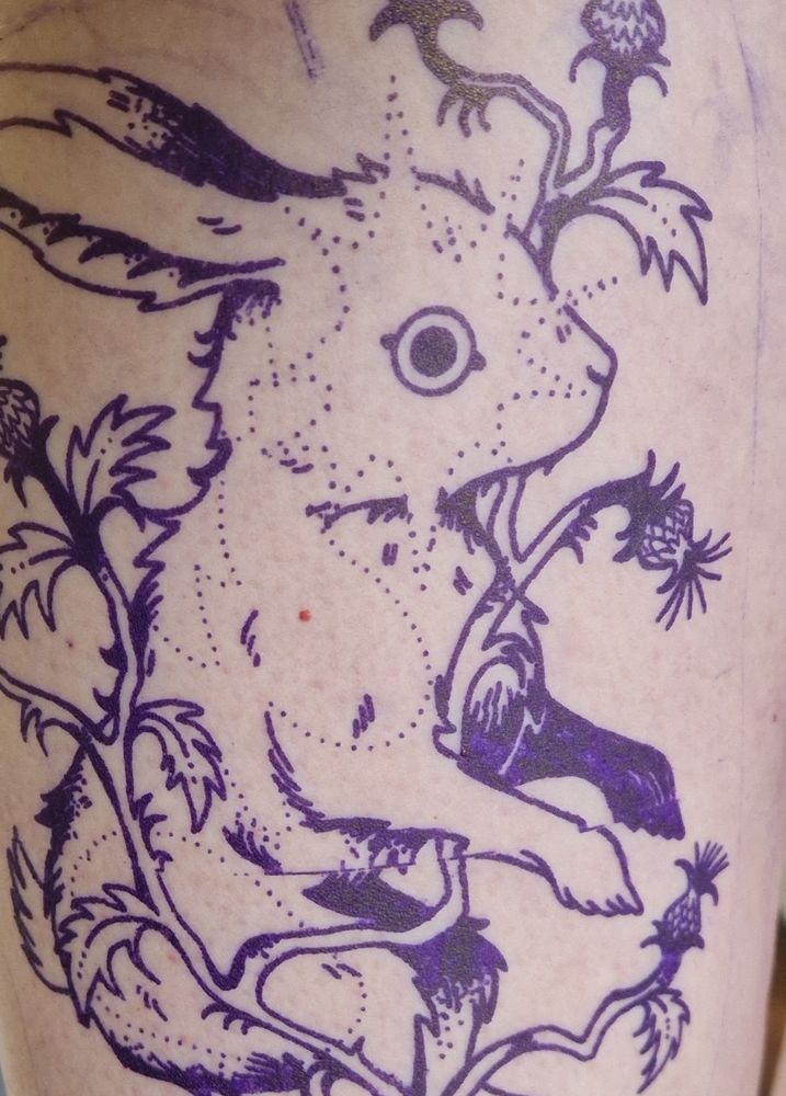 Tattoo stencil of a rabbit syrrounded by thistles.