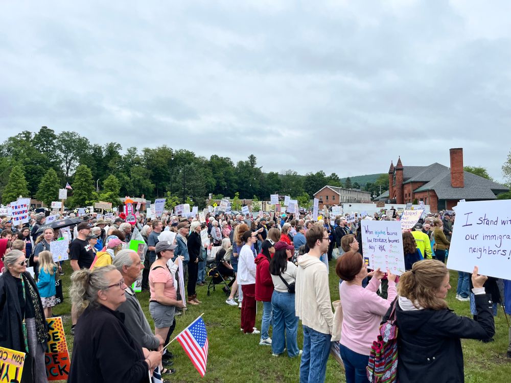 Image of a large protest crowd.
