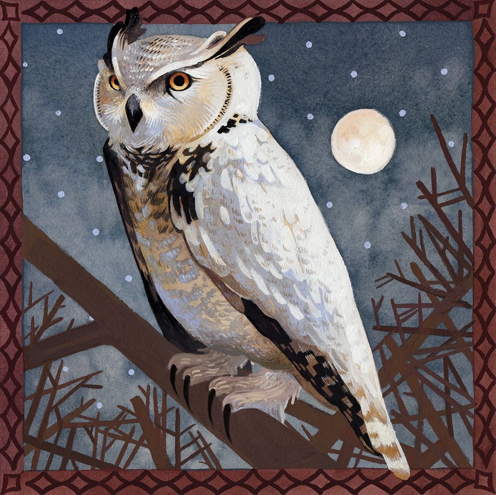 A great horned owl sits atop of tree in the moonlight. 