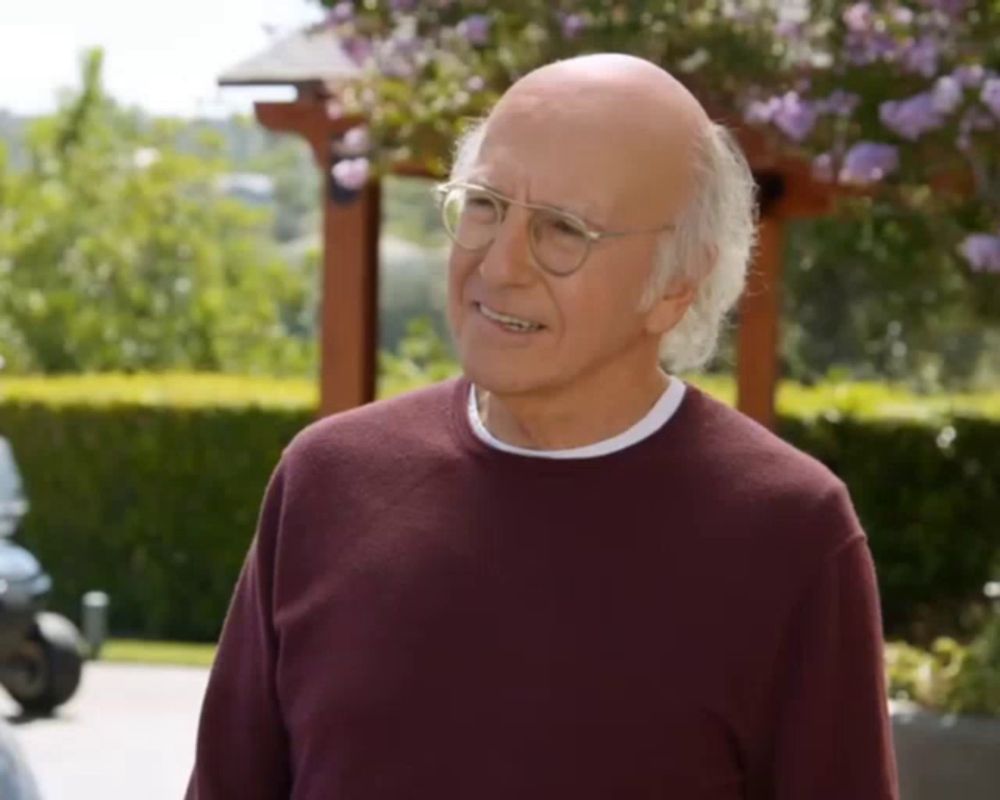 Reasonsimbroke Larry David GIF