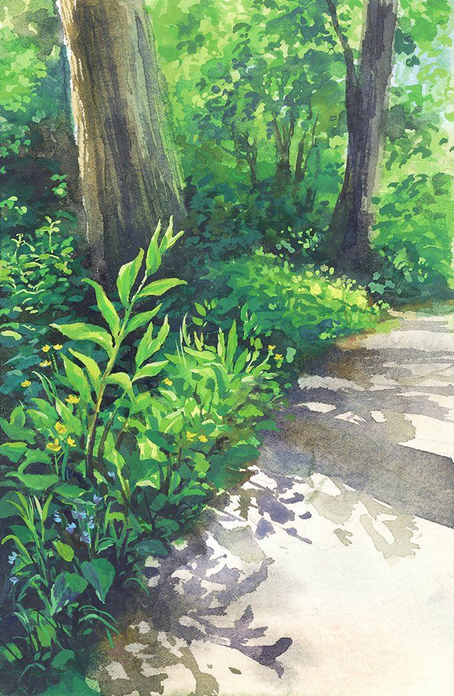 Gouache painting of a pathway next to foliage and trees with shadows cast on the pathway. 
