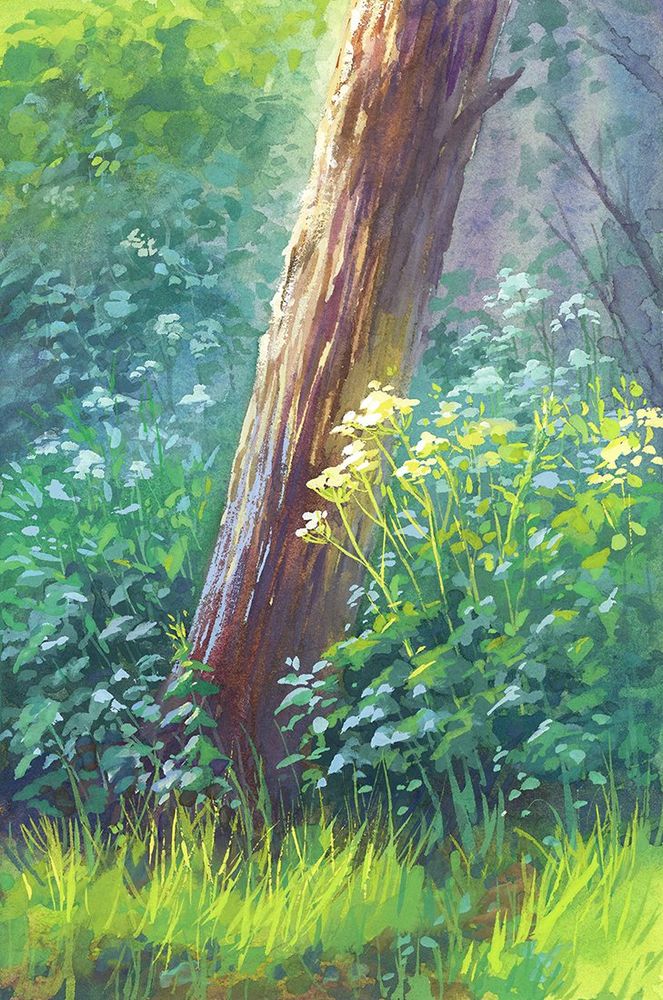 A gouache painting of sunlight shining on a tree, foliage, and wildflowers. 