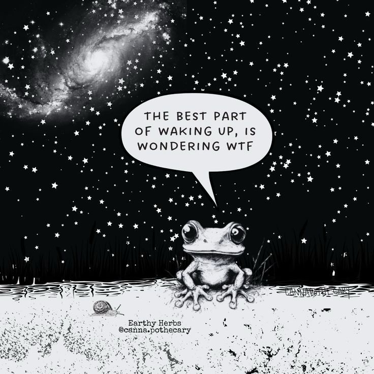 Night time starry sky with frog saying: the best part of waking up is wondering wtf 