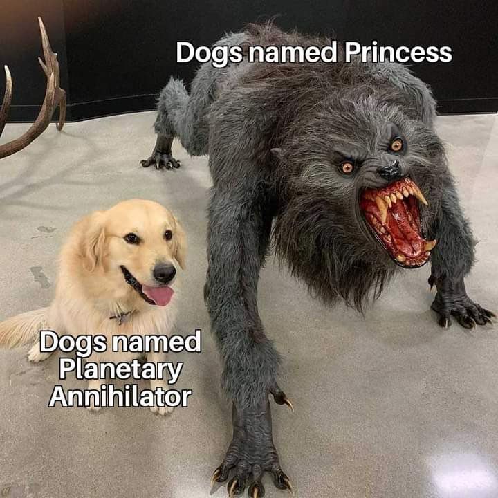 golden retriever: dogs named planetary annihilator
big scary dog: dogs named princess

