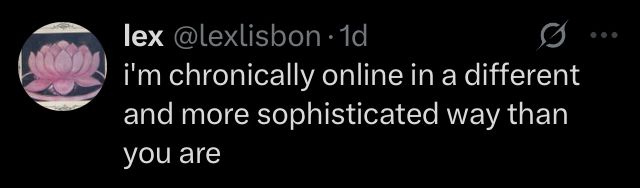 X screenshot from user
 @lexlisbon •1d
i'm chronically online in a different and more sophisticated way than
you are