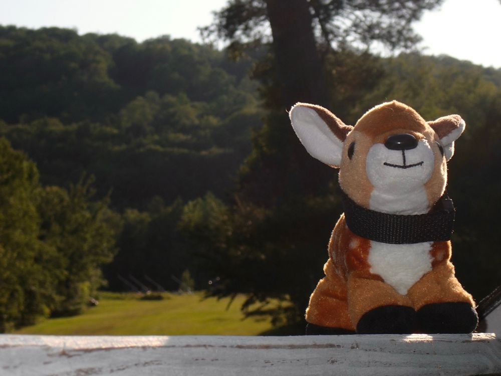 Small deer plushie in front of wooded hills