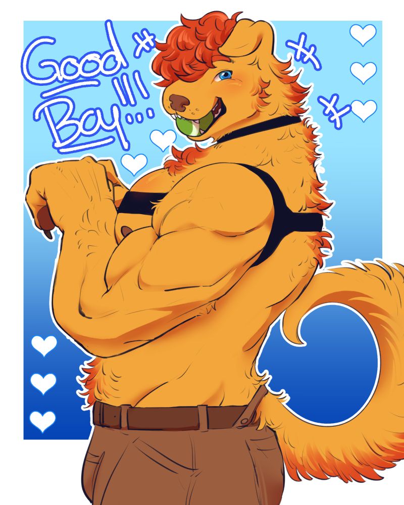 Drawn and Colored halfbody of an anthro oc. He is a golden retriever with red ginger hair and blue eyes. He is shirtless, wearing only a leather chest harness and collar, with a tennis ball in his mouth. The text onsceen says "Good boy !!!"