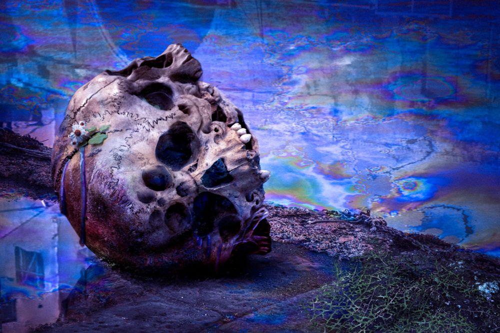 A single human skull lies on the overgrown floor. It has many faces, eyes, noses, repeating in a fractal pattern. From the cracks in the bone, a small fractal flower emerges. The water behind swirls in shimmering patterns.
