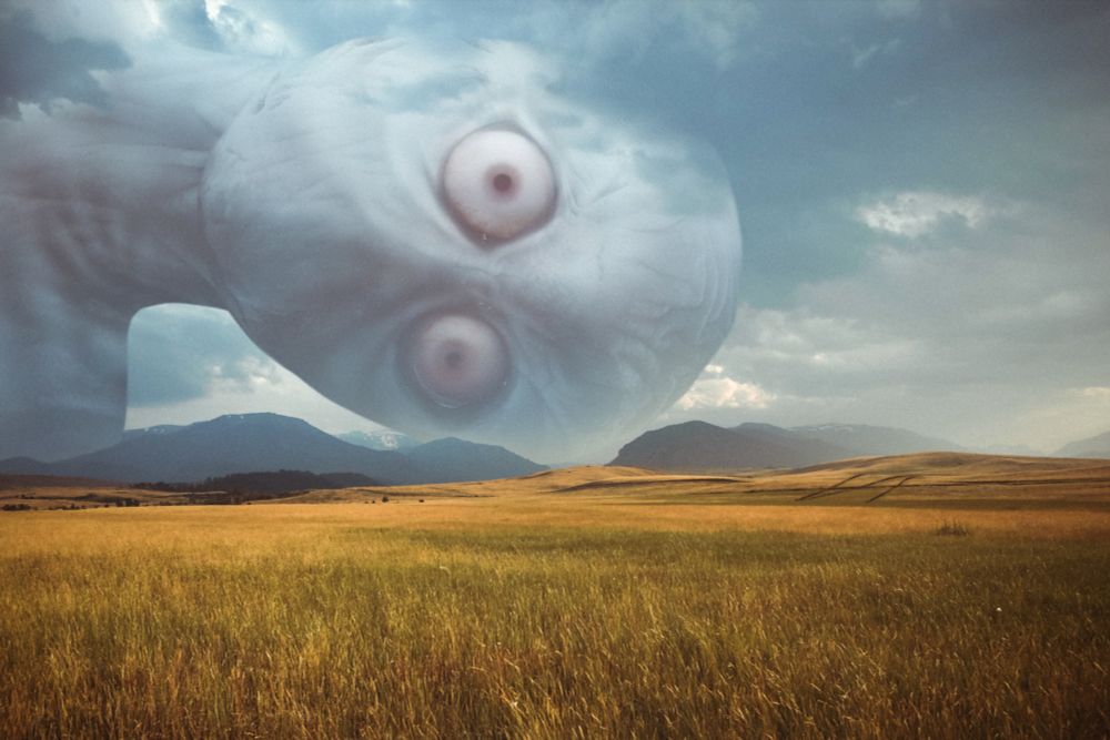 guy looking at you. he's big