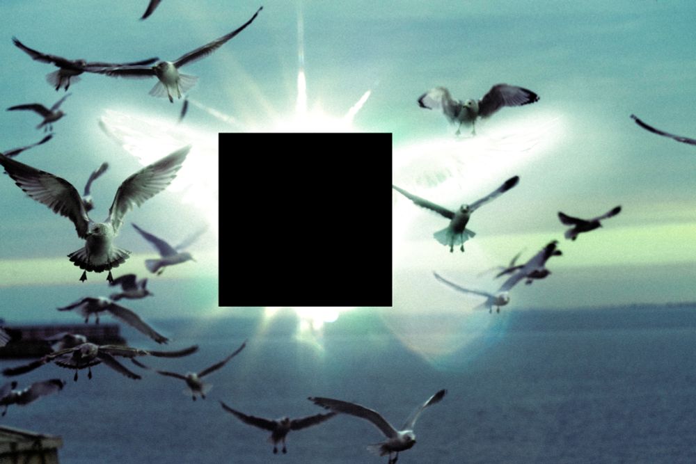 A flock of seagulls flying near the edge of the water. There is nothing flying among them. There is nothing casting a strange otherworldly light.