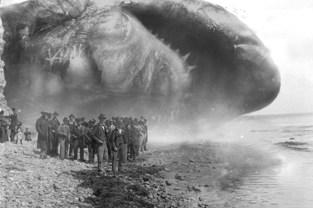 A large well-dressed crowd gathers in a beach. In the distance, the massive corpse of the Nidhogg rots. 