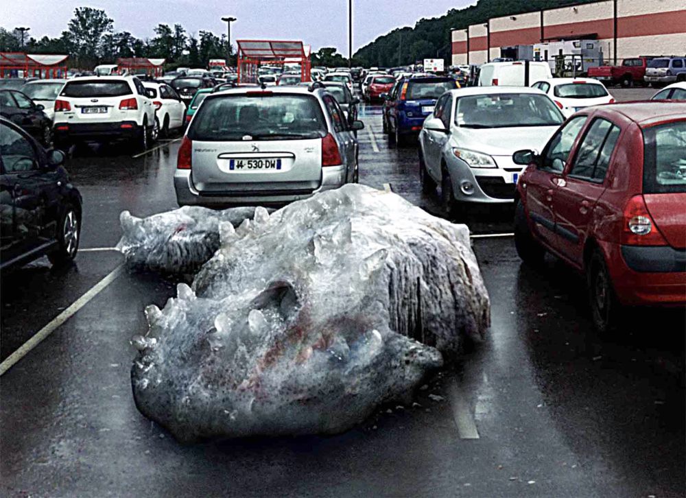 An unidentifiable carcass spills over a parking space in a busy parking lot. Its white slimy skin appears to be torn to ribbons on its side. No head or anatomical structures can be recognised among the bloated remains.