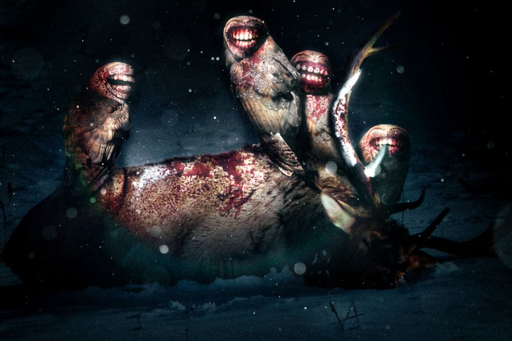 A dead elk lies on the snow at night. A flaslight reveals four owls, with enormous grinning mouths and human-like teeth, feasting upon it.