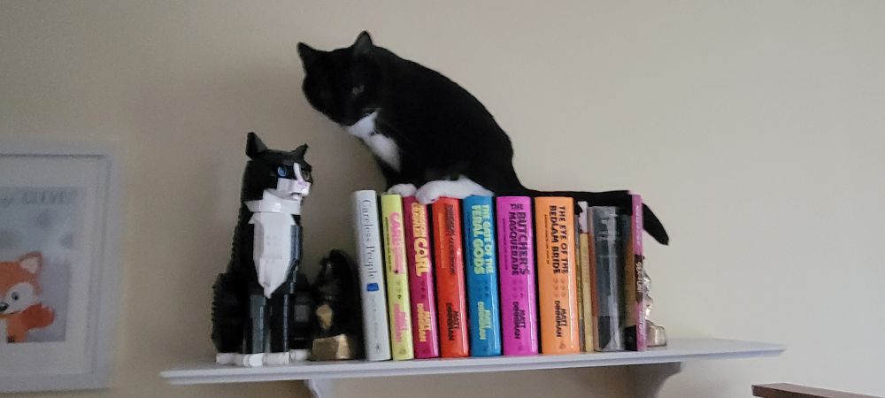 A photo of A bookshelf with several books and a Lego cat on it a real cat who looks like Lego cat sits on top of the books 