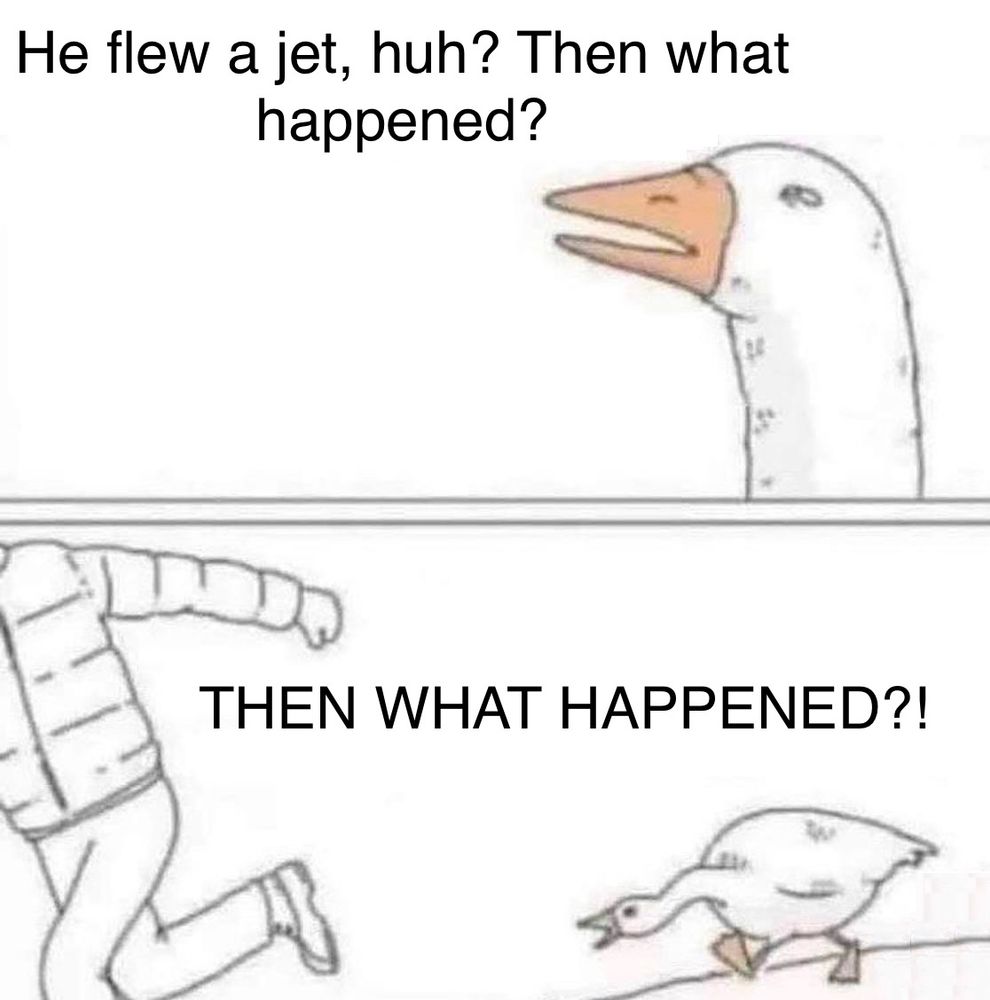 The angry goose meme. 
Top text “He flew a jet, huh? Then what happened?”
Bottom text: THEN WHAT HAPPENED?!