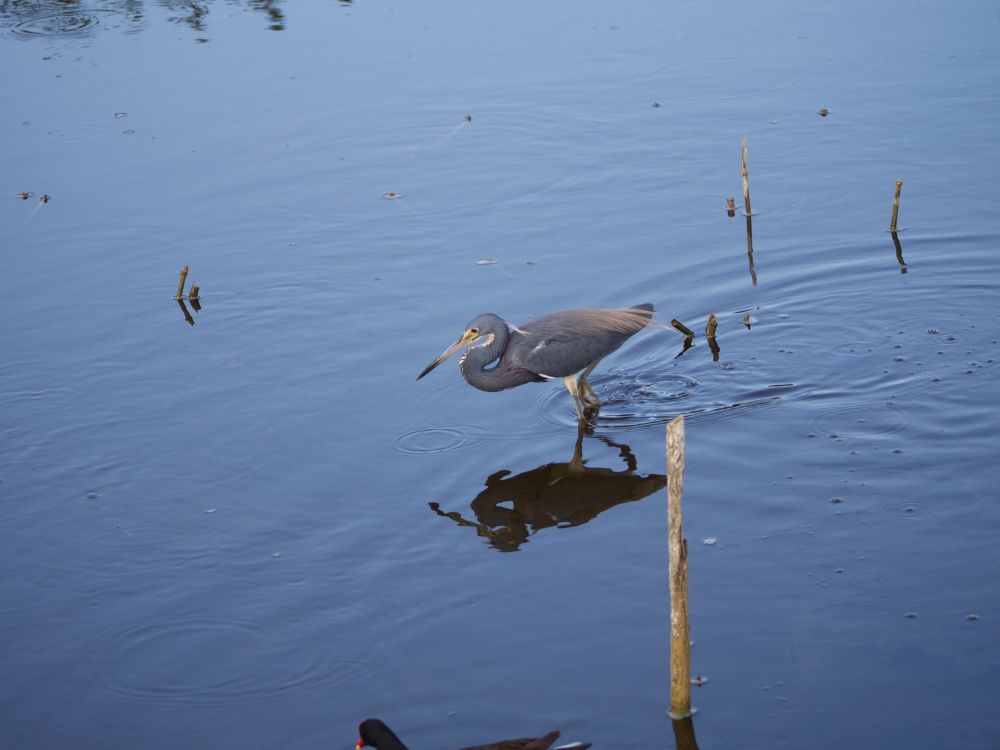 In this image he is walking to the left of the shot in the crouched, 