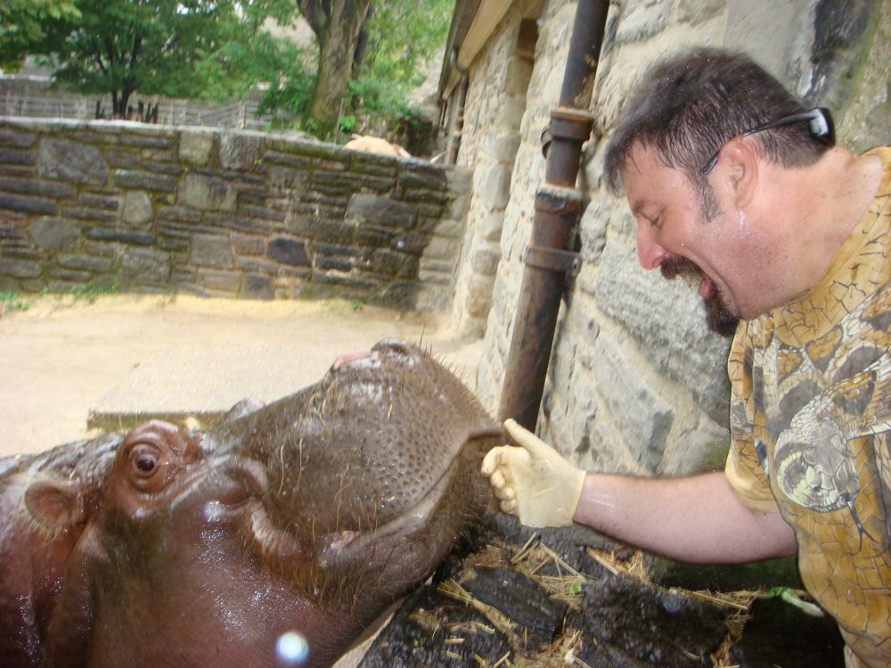 I am petting a curious Hippo