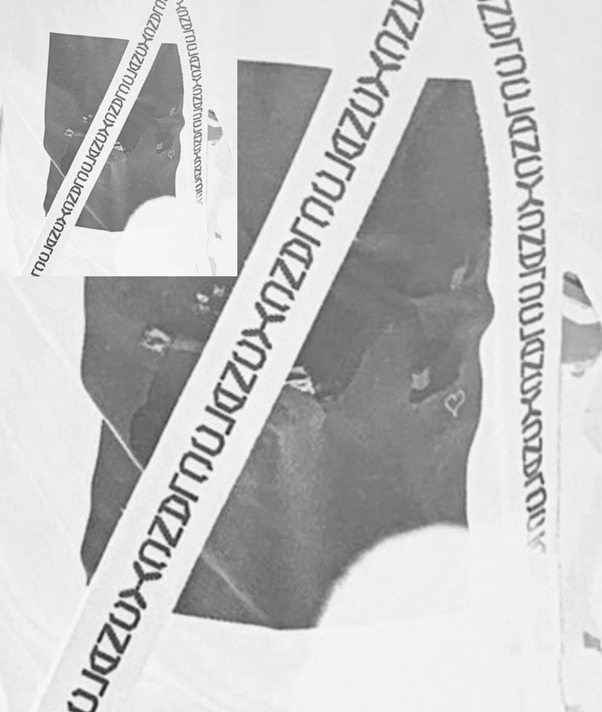 Inverted photo of Tyler's t-shirt from the show in Birmingham tonight. The photo on it, is tyler laying on the ground, possibly from ers tour. There is also, a little drawn heart drown on the side...