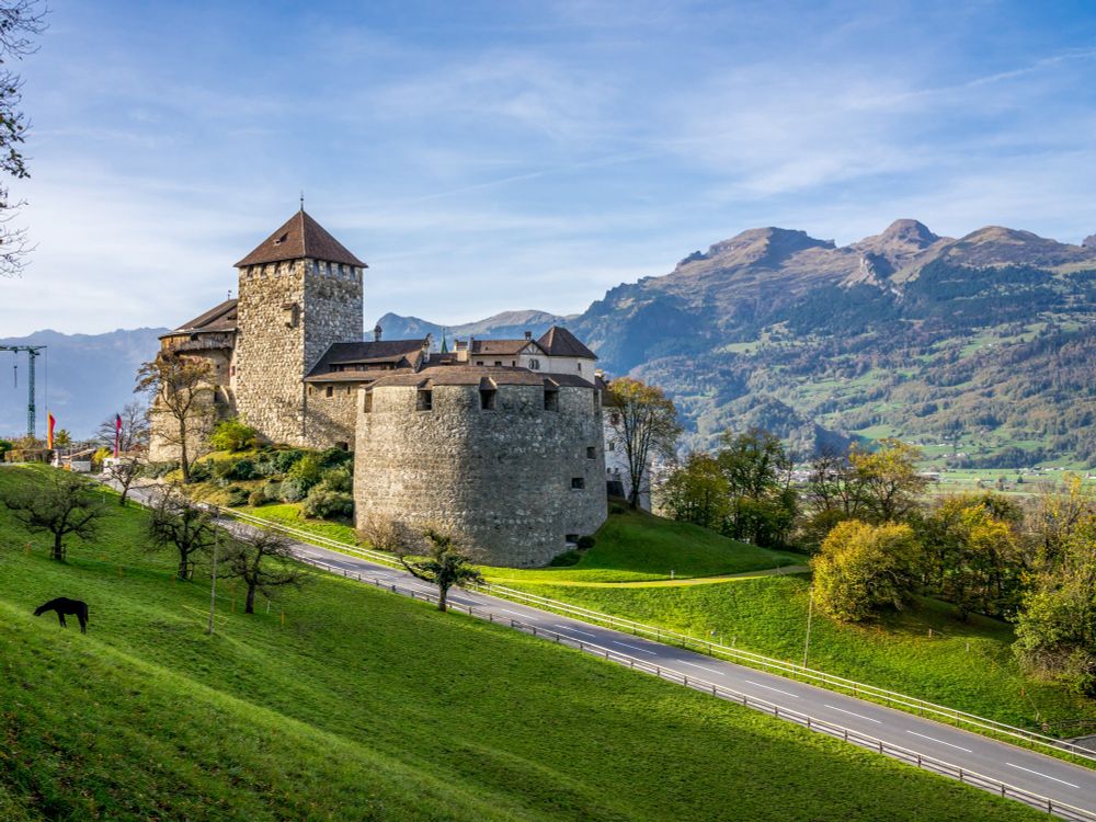 Blick auf eine Burganlage. Davor ist eine grüne Wiese und eine Straße zu sehen, im Hintergrund ein Bergmassiv.