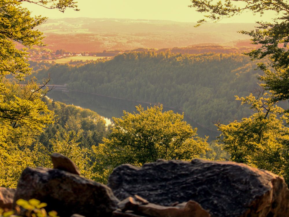 Blick von einer Anhöhe auf eine Talsperre und herbstlich belaubte Bäume.