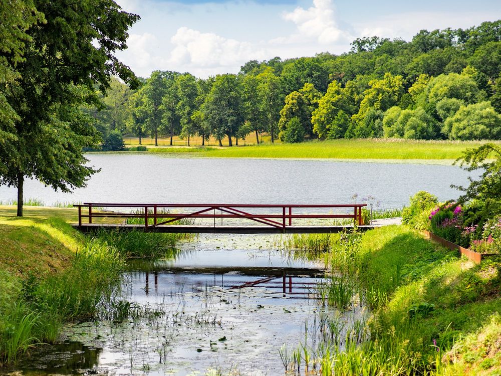 Brücke über den Zufluss zu einem See. An den Uferrändern stehen Bäume und Sträucher.