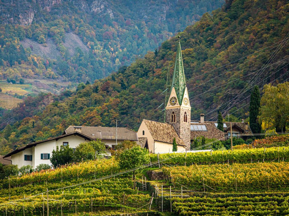 Blick auf eine Kirche und weitere Häuser, die in einem Weinberg stehen.