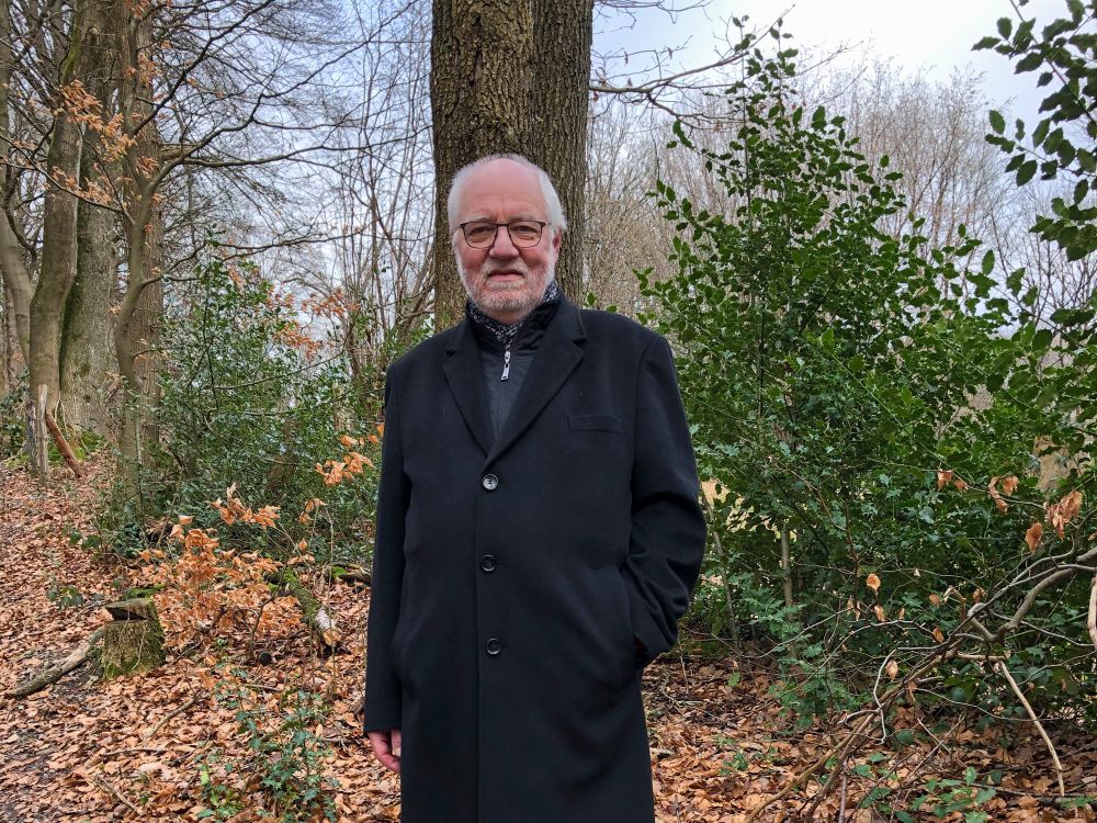 Person (ich) steht im herbstlichen Wald.