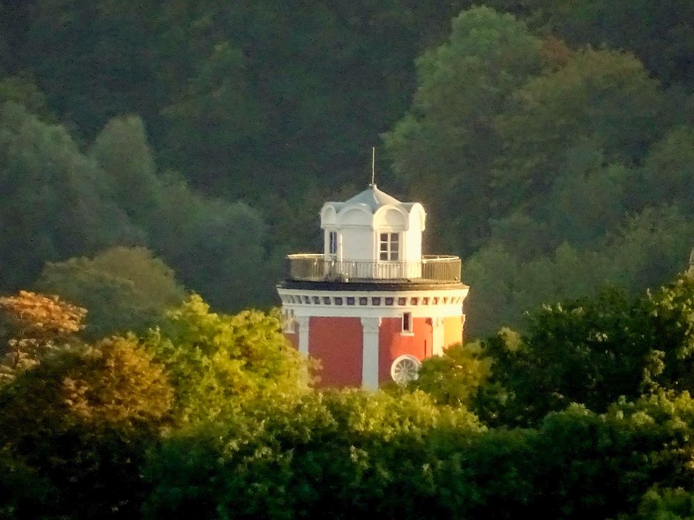 Die Spitze eines historischen Turmes ragt aus einer Waldlandschaft heraus.