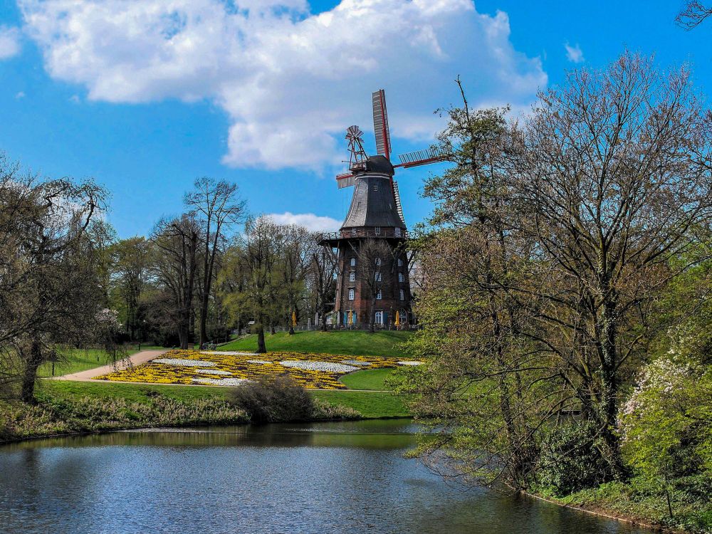 Im Mittelpunkt des Bildes steht eine Windmühle. Im Vordergrund sind ein See und viele Bäume und Sträucher zu sehen.
