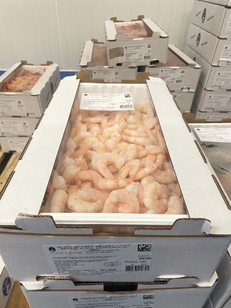 photo de IT - queue de crvette décortiquée cuite réfrigérée 31/40 L.Vannamei OP 2kg
IT - queue de crvette décortiquée cuite réfrigérée 31/40 L.Vannamei OP 2kg - aucune Risques : Autres contaminants biologiques Motif : détection de vibrio cholerae en cours de sérotypage dans produit.