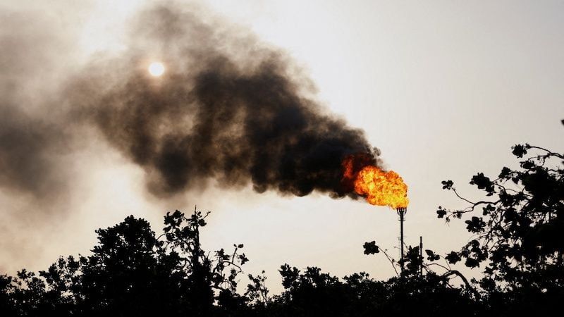 COP30 must heed the elephant in the room: fossil fuels