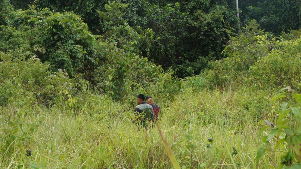 Indonesia turns traditional Indigenous land into nickel industrial zone