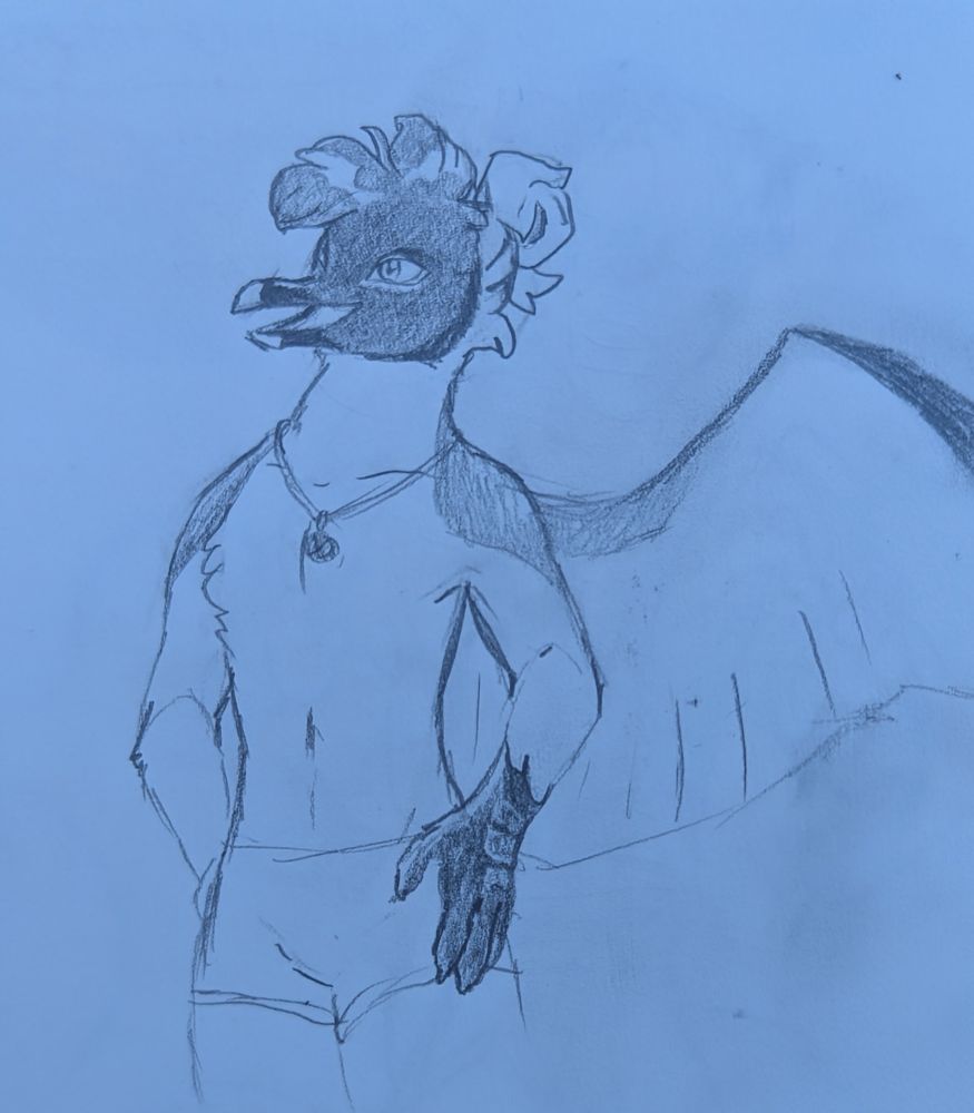 Pencil sketch of an anthro gull character with a lithe figure, wearing little shorts and a necklace with a nautical glass ball on it. They are a Sabine's gull, a species with white plumage with a dark grey face and a black chinstrap, and black bill with a gold tip. This gull has some of their head feathers back in a bun, which is white like the back of their head is, and some of their head feathers forward and fluffy, and those ones are dark grey like their face. They have like slutty eyes with a smoky eye effect from darker feathers around the eyes.