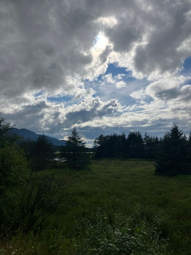 View across pioneer home wetlands