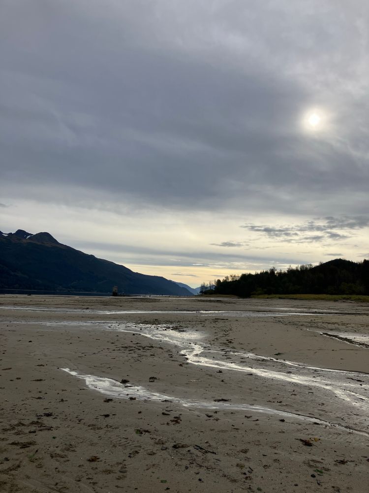 Beach with streams running to shore. A pale sun hangs behind some thin clouds.
