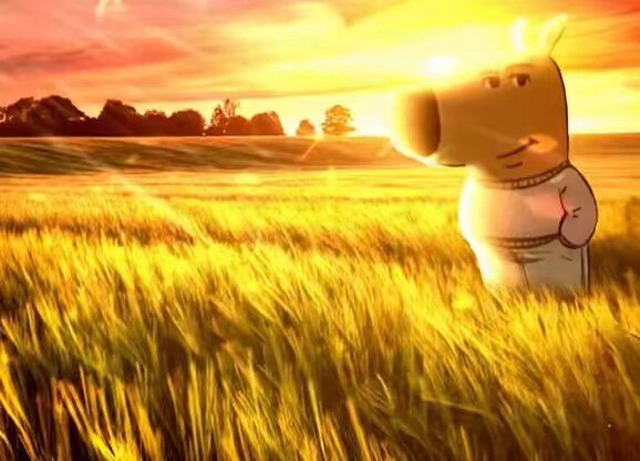 meme que muestra un perro con forma humanoide llevando un jersey en medio de un campo al atardecer con pose de chill de cojones