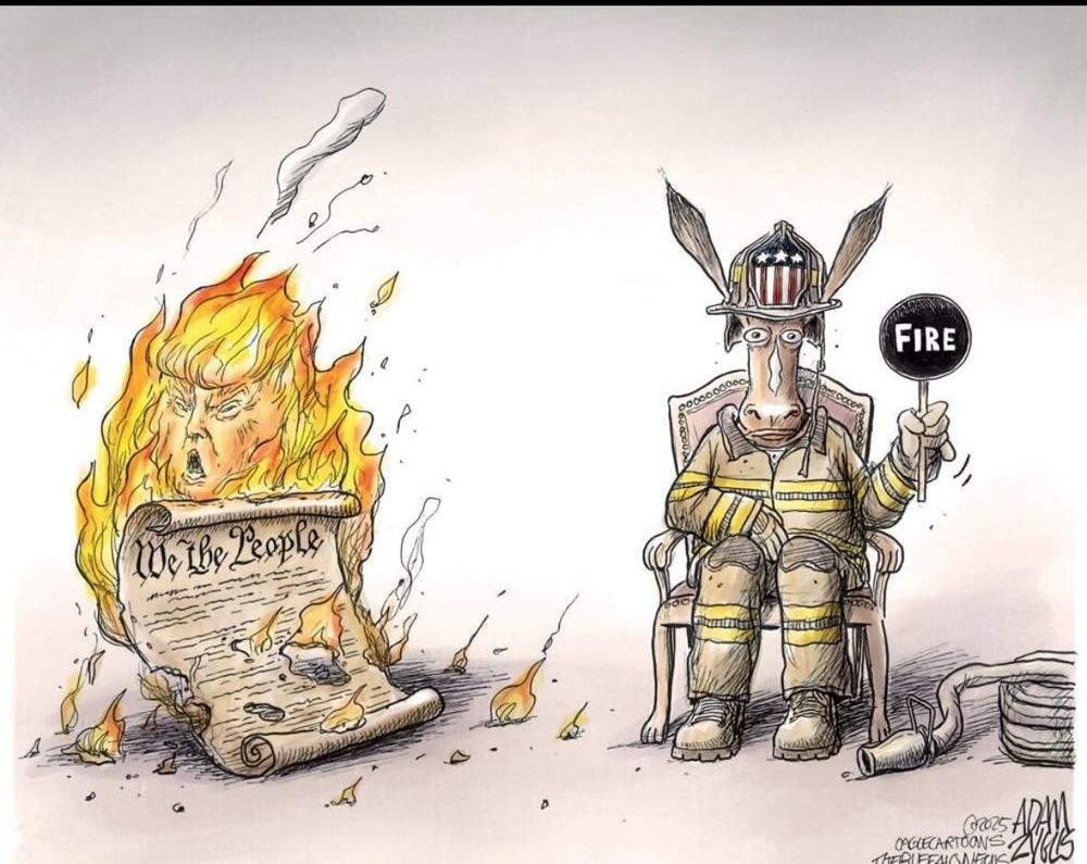 A cartoon of the US Constitution burning with Trump's face in the flame. Next to it is a donkey in a firefighter`s uniform with an unused fire hose. The donkey is holding a round black sign that says "Fire". 