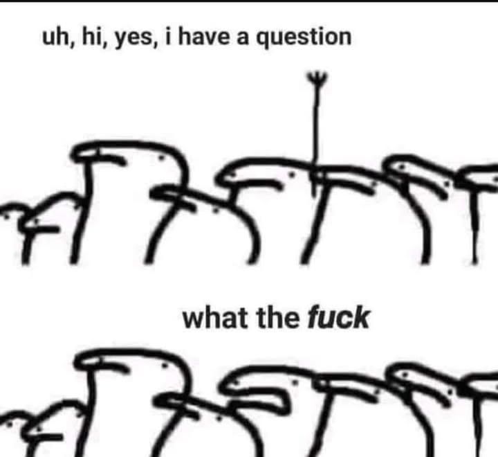 A group humanoid characters. One has their hand raised next to text that says, "uh, hi, yes, I have a question". Then below the same humanoid character in the group says “what the fuck?!"