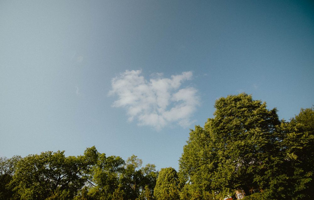 A perfectly placed cloud just floating along. Not a care in the world. Vibing. Radiating. 