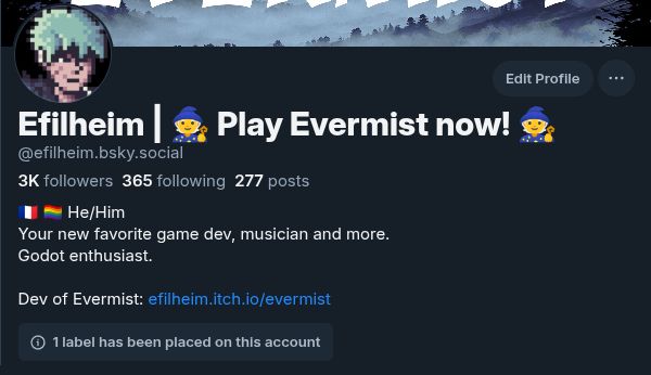 The Efilheim profile page, with 3K followers