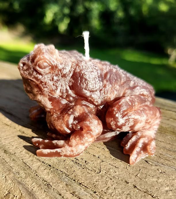 Toad Candle
