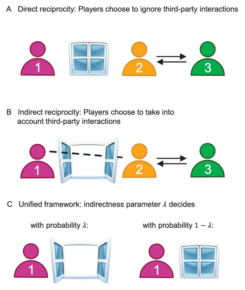  Strategies of reciprocity differ in whether players (here, player 1) take into account third-party interactions (here, between players 2 and 3). According to direct reciprocity, player 1 ignores third-party interactions. According to indirect reciprocity, player 1 takes such third-party interactions into account. The study's framework also allows for intermediate cases, where player 1 considers third-party interactions with some fixed probability λ.