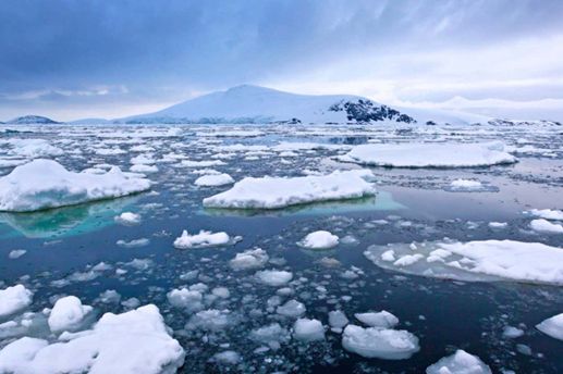 Scenic view of icebergs drifting in water, framed by towering mountains, showcasing Antarctica's summer landscape.