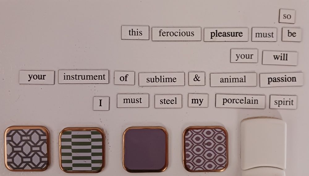 four square magnets, three purple and one green with various patterns are below some fridge poetry which reads: "so, this ferocious pleasure must be your will, your instrument of sublime & animal passion, I must steel my porcelain spirit"