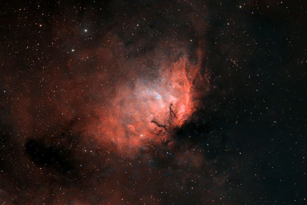 🧵(1/2) Cropped version of The Tulip Nebula (Sh 2-101) is an emission nebula in the constellation Cygnus, about 6000 light-years away from Earth.

Shot taken on 2025-06-22 from my backyard. 

🔭: William Optics Pleiades 111
📷: ZWO ASI 2600
Total exposure: 13x300 sec (1h05)

#Astrophotography #Space #DeepSpace #Astronomy