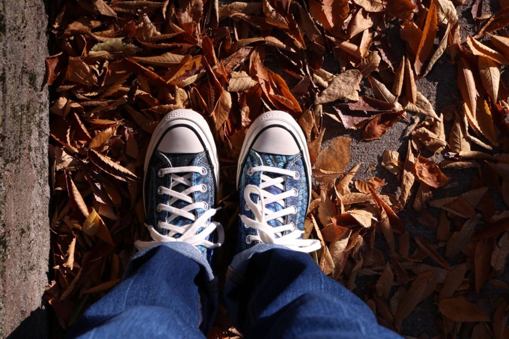 A pair of feet in Converse sneakers with a blue fish scale pattern, standing in reddish brown autumn leaves