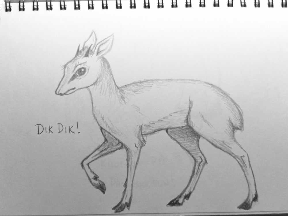 Sketch of a small and cute antelope 